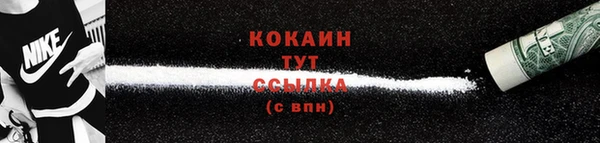 ALPHA PVP Каменка