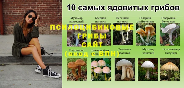 винт Каменск-Шахтинский