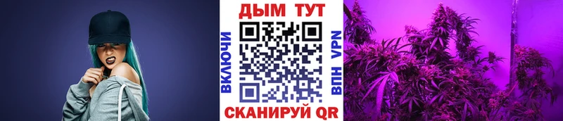 Конопля план Купить где Емва